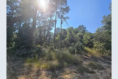 R20785 County Road 3325, Colmesneil, TX 75938 - Photo 2