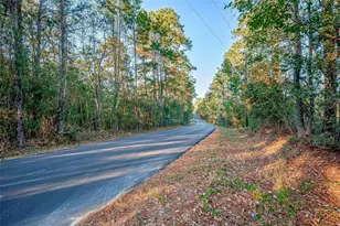 Tbd Lake Mount Pleasant Rd, Montgomery, TX 77356 - Photo 6