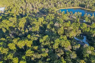 Tbd Lake Mount Pleasant Rd, Montgomery, TX 77356 - Photo 18