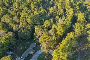 Tbd Lake Mount Pleasant Rd, Montgomery, TX 77356 - Photo 14