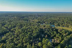 Tbd Lake Mount Pleasant Rd, Montgomery, TX 77356 - Photo 22