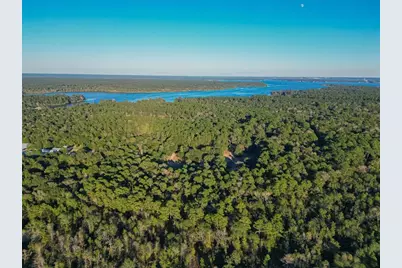Tbd Lake Mount Pleasant Road, Montgomery, TX 77356 - Photo 10