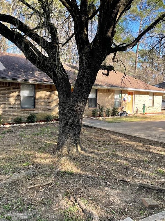 3020 Manor Ln Apt B, Huntsville, TX