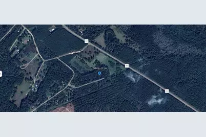 Tbd Davis Lot 29, Livingston, TX 77351 - Photo 1