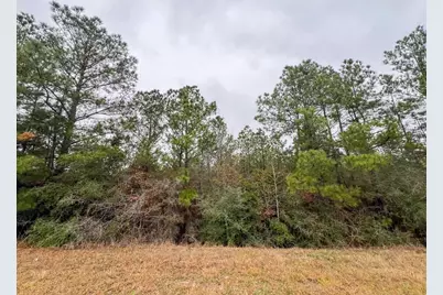 2 Rec Road 255, Colmesneil, TX 75938 - Photo 8