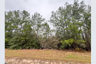 2 Rec Road 255, Colmesneil, TX 75938 - Photo 6