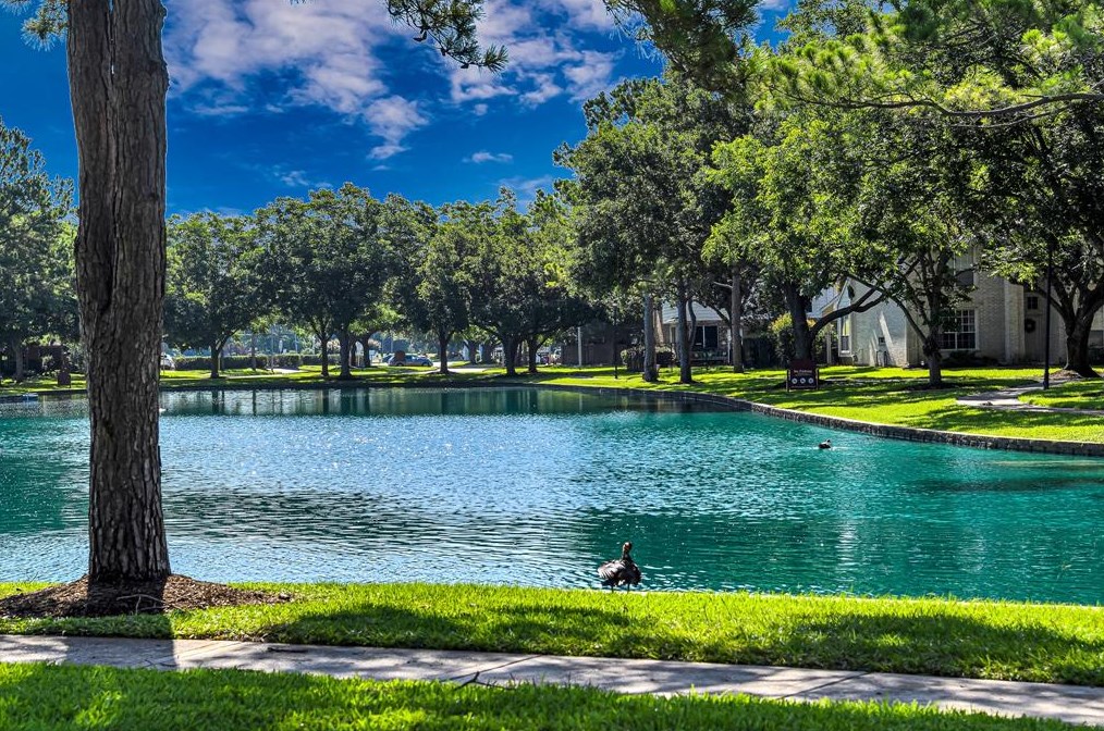 2507 Crystal Lake Ct, Richmond, TX 77406-1800