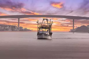 1493 County Rd 291, Sargent, TX 77414 - Photo 6