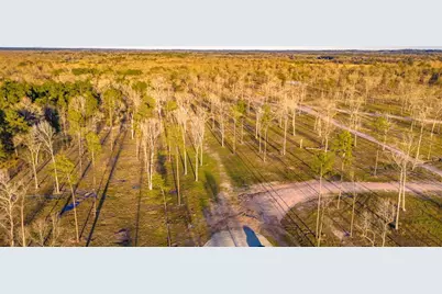 Tbd 05 Johnson Drive, Livingston, TX 77351 - Photo 2