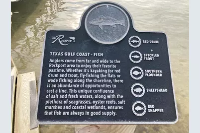 276 Reserve Lane, Rockport, TX 78382 - Photo 36