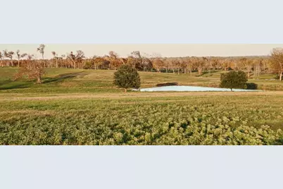 5925 Old Three Hundred Drive, Washington, TX 77880 - Photo 2