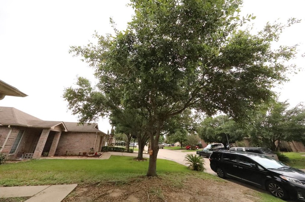 18826 Driftwood Springs Dr, Katy, TX 77449