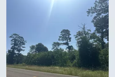 Lot 10 & 11 Fm 980 S, Point Blank, TX 77364 - Photo 2