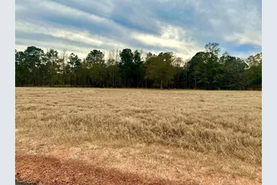 Tbd S Green Valley Trail, Hillister, TX 77624 - Photo 4