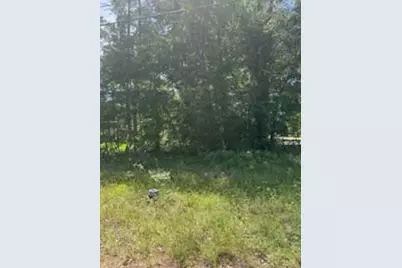 15871 Sycamore Drive, Montgomery, TX 77356 - Photo 1