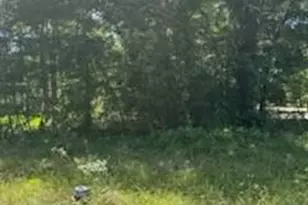 15871 Sycamore Dr, Montgomery, TX 77356 - Photo 1