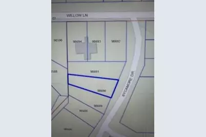 15871 Sycamore Drive, Montgomery, TX 77356 - Photo 2