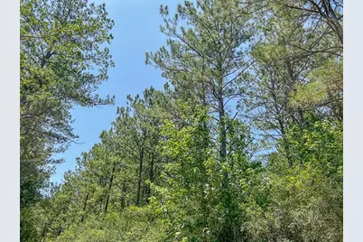 04 Cr 364E, Zavalla, TX 75980 - Photo 10