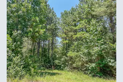 04 Cr 364E, Zavalla, TX 75980 - Photo 6