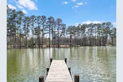 19701 W Lakeshore Drive, Magnolia, TX 77355 - Photo 10