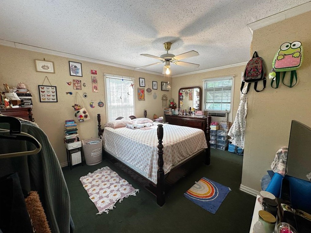 1505 Walton, Houston TX  77009-2523 exterior