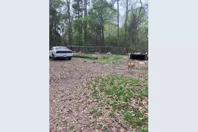 21060 Patricia Lane, New Caney, TX 77357 - Photo 6