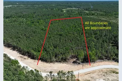 475 Cherokee Trail, Lovelady, TX 75851 - Photo 2