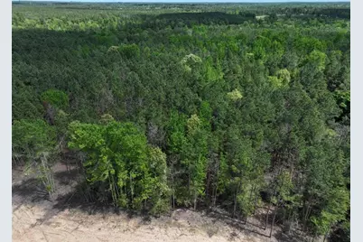 475 Cherokee Trail, Lovelady, TX 75851 - Photo 4