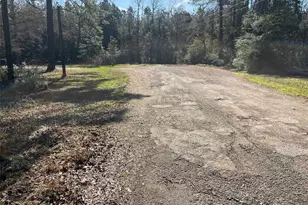 000 Bitter Creek Dr, Shepherd, TX 77371 - Photo 1