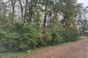 19515 Pine Haven Road Dr, Conroe, TX 77385 - Photo 1