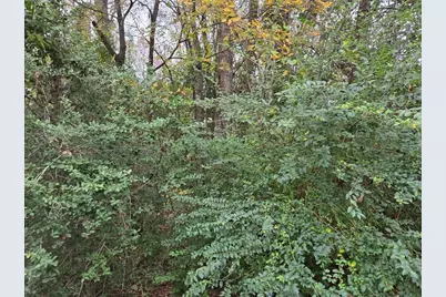 19515 Pine Haven Road Drive, Conroe, TX 77385 - Photo 2