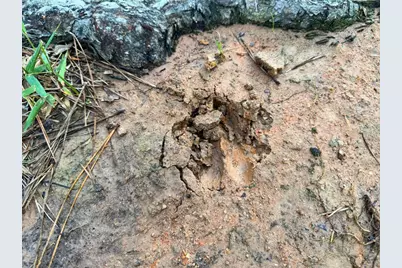 000 Fm 1791, Richards, TX 77873 - Photo 8