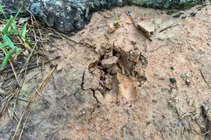 000 Fm 1791, Richards, TX 77873 - Photo 8