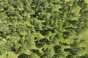 000 Fm 1791, Richards, TX 77873 - Photo 14