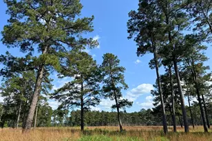 000 Fm 1791, Richards, TX 77873 - Photo 4