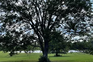 15734 Wooded Trl Wy, Willis, TX 77378 - Photo 12