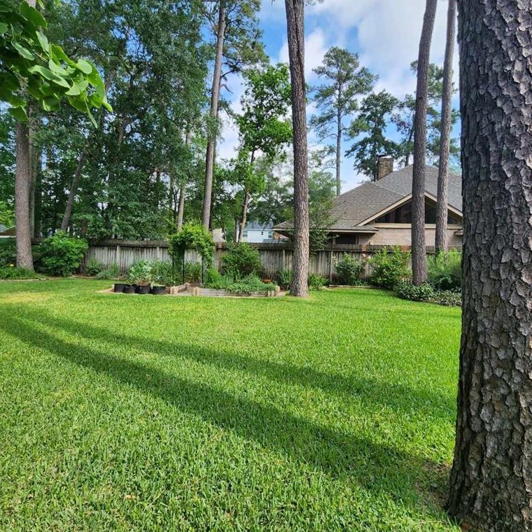 23119 Hampton Forest Ln, Spring, TX 77389-3784