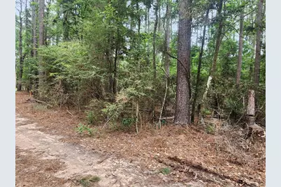 277 Long King, Livingston, TX 77351 - Photo 1