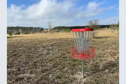 15751 Ridge Rock Rd Road, Willis, TX 77378 - Photo 16