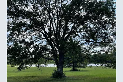 15751 Ridge Rock Rd Road, Willis, TX 77378 - Photo 12