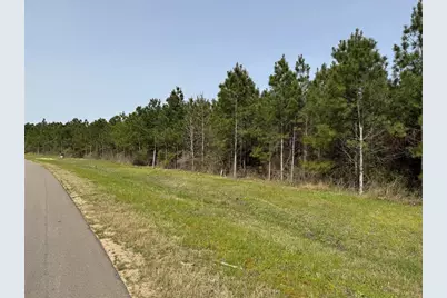 15751 Ridge Rock Rd Road, Willis, TX 77378 - Photo 6