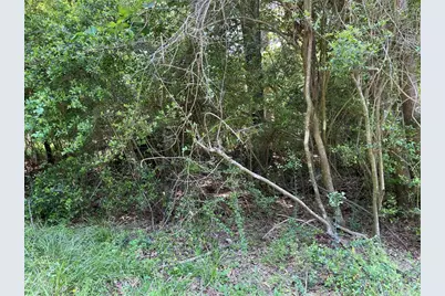 366 & 374 Rain Forest Road, Onalaska, TX 77360 - Photo 4