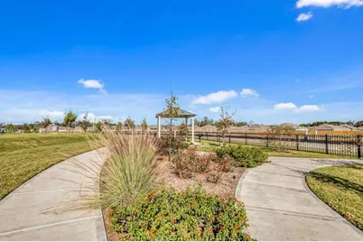 16441 Blossom Grove Drive, Conroe, TX 77303 - Photo 10