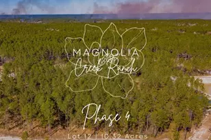 0412 Tumbleweed Ranch Rd, Onalaska, TX 77360 - Photo 1