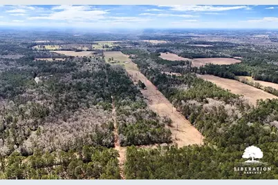 Lot 3 John Warren Road, Coldspring, TX 77331 - Photo 14