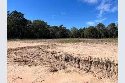 0 Daniel Street, Cleveland, TX 77327 - Photo 2