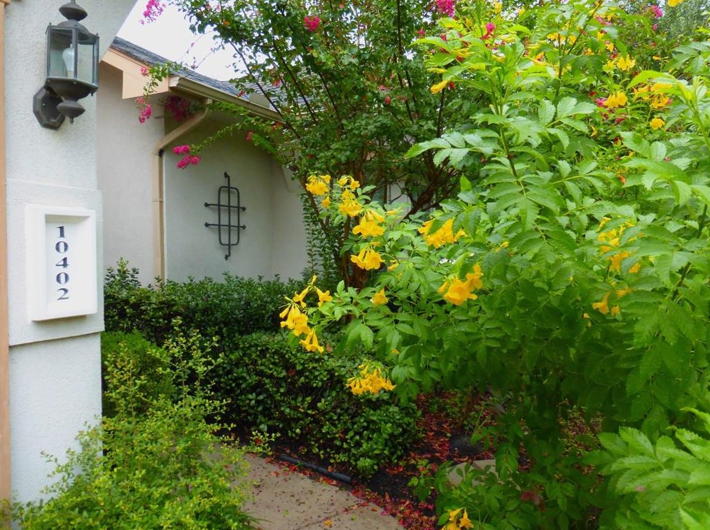 10402 Summit Bridge Ln, Houston, TX 77070