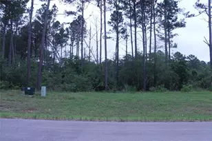 15392 Frst Grv Dr, Willis, TX 77378 - Photo 6