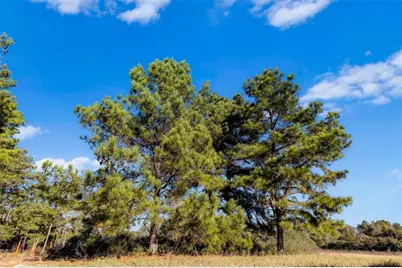 Tbd Pr 1315, Centerville, TX 75833 - Photo 16