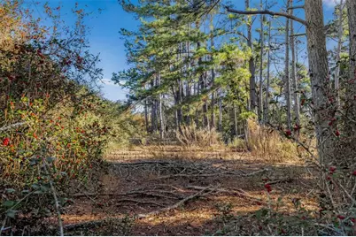 Tbd Pr 1315, Centerville, TX 75833 - Photo 14